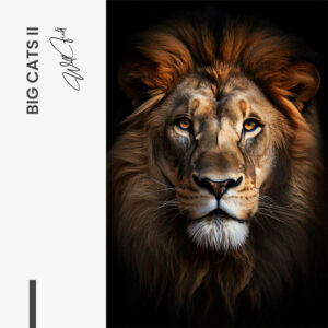 Design signature II - tiny